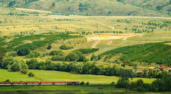 保加利亚美丽多彩的草地景观图片