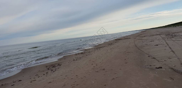 早上的波罗的海滩图片