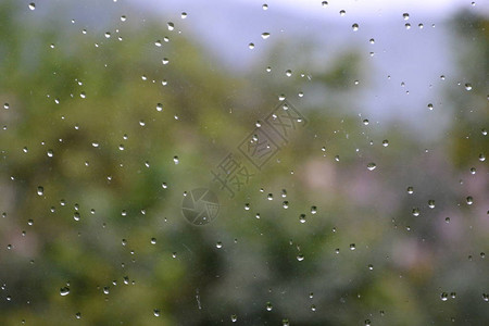 在雨天下在夏日中图片