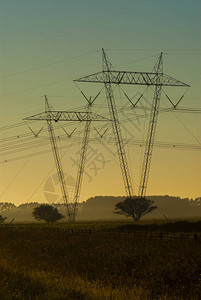 Pampas带电线杆的景观图片