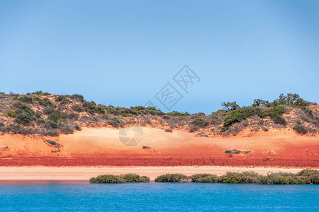 由红色沙丘制成的水平线特写镜头图片