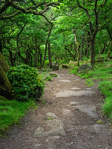 英格兰峰区帕德利峡谷一侧的小路图片