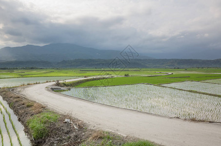 农村风景和农图片