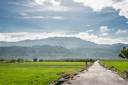 云天的乡村道路景观图片