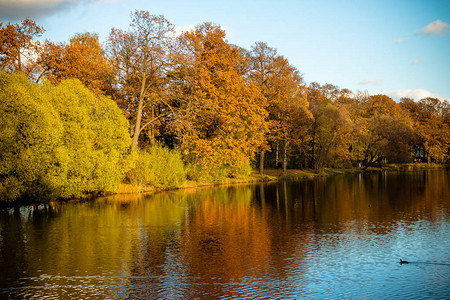 在阴云的天气中河附近的秋树秋季图片景观旧图片