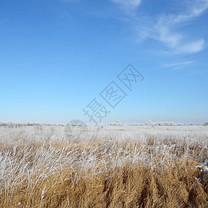 俄罗斯乡村的冰雪草地图片