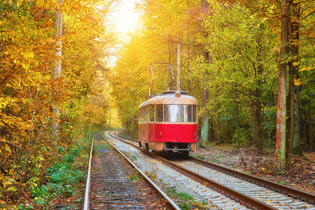 红复古电车沿途穿过秋林图片