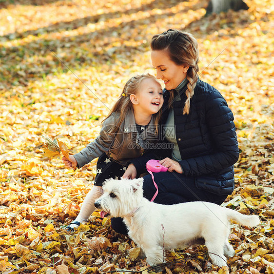 幸福的家庭在秋天的公园里遛狗年轻的母女与白狗在落叶中玩乐秋季假期家庭宠物家畜和人的概念图片