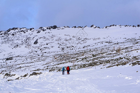 一群徒步者在一片雪覆盖的山上走过一块无树坡图片