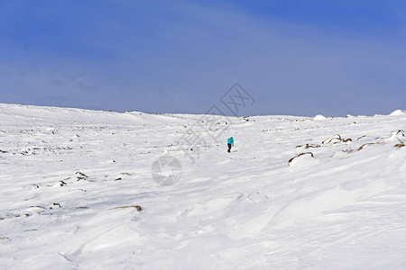 在雪地沙漠中孤单的疲累图片