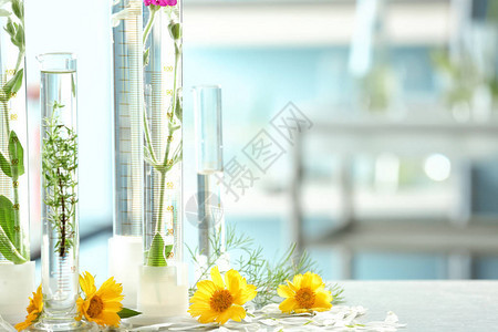 实验室中用植物和花卉放在图片