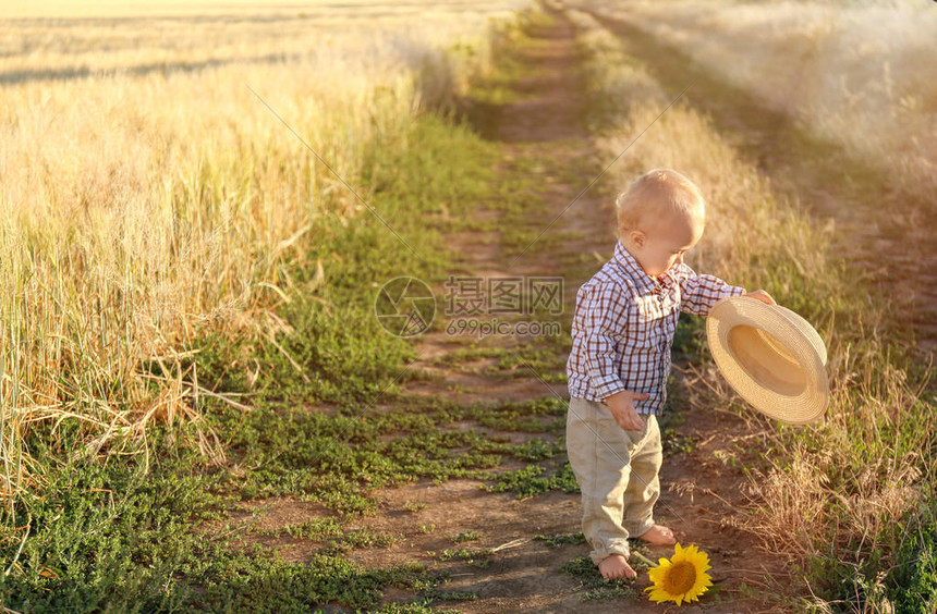 可爱的男婴在夏日的麦田里散步图片