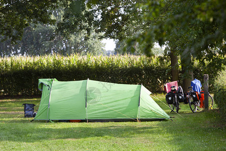 在荷兰沃尔斯特一个玉米田旁边露营的帐篷图片