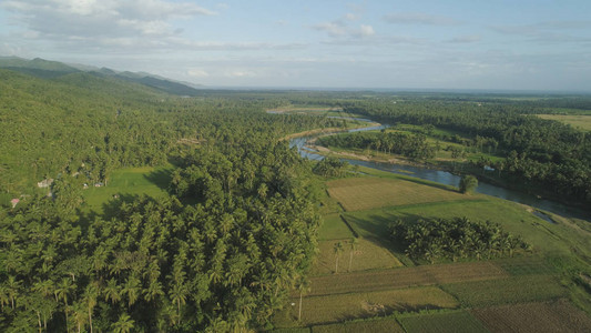 鸟瞰河流穿过农田和水稻梯田图片