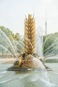 传说式苏维埃喷泉ZolotoyKolos黄金耳背景图片