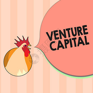 显示风险资本的文本符号公司向小型早期企业提供概念图片融资您可访问VentureC图片