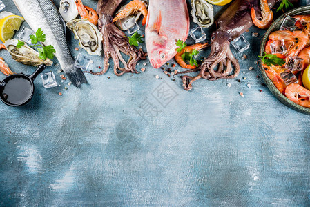 鱼虾牡蛎贝类鱼图片