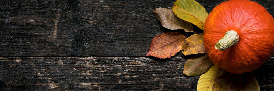 秋收和假日静物快乐深色木制背景上的两个南瓜和落叶秋季蔬菜图片