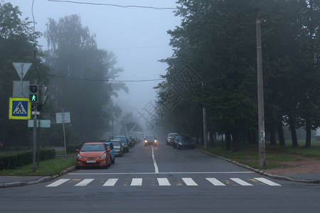 雾期间道路上的汽车图片