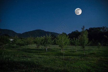 满月之夜穿过森林的山地路黑暗蓝天和月图片