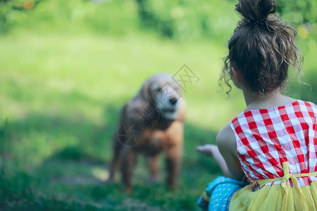 孩子们在公园里和狗玩耍图片