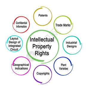 知识产权的种类图片