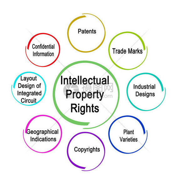 知识产权的种类图片