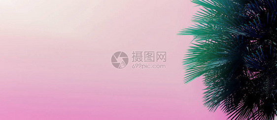 网站标题和横幅图片