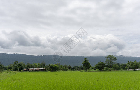 山区绿地美丽的景观背景上有云彩图片