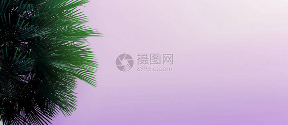 网站标题和横幅图片