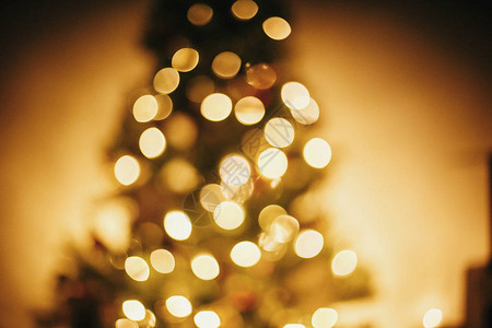 美丽的圣诞树金色灯光在节日的房间里图片