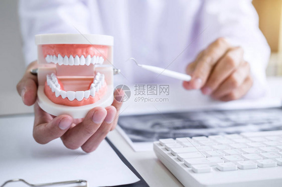 牙科医生手握牙齿的下巴模型用牙科图片