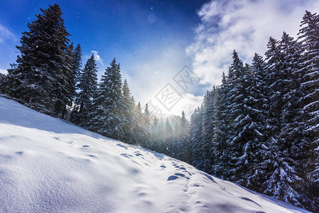 美丽的冬季风景在Moutains与新鲜的雪图片