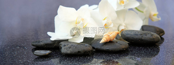 白色兰花和水疗石水滴在黑色背景上隔开图片
