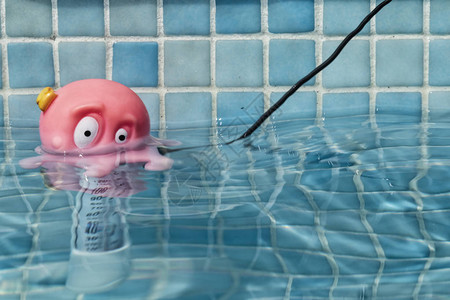 带章鱼头的游泳池温度计图片