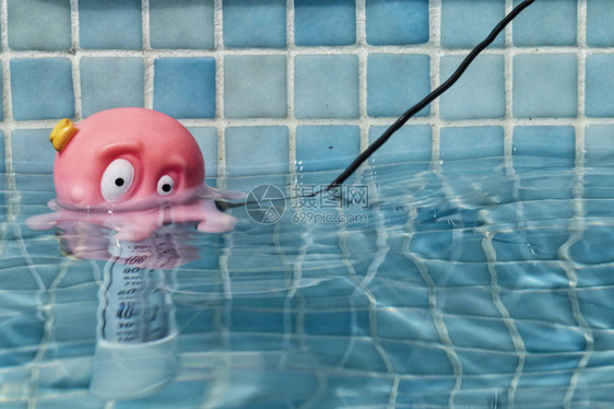 带章鱼头的游泳池温度计图片