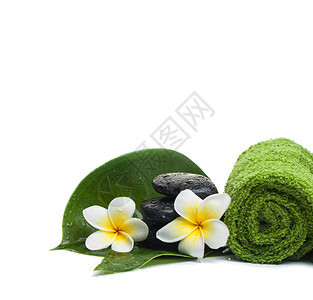 带绿毛巾的热带花朵用于白底进行图片