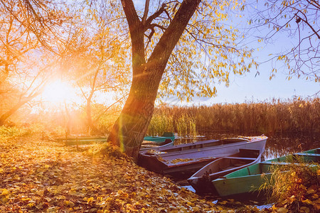 秋天风景框架上阳光明亮图片