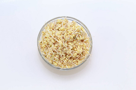 在白色背景上发芽的豆子全国亚洲沙拉素食主义或生食的准图片
