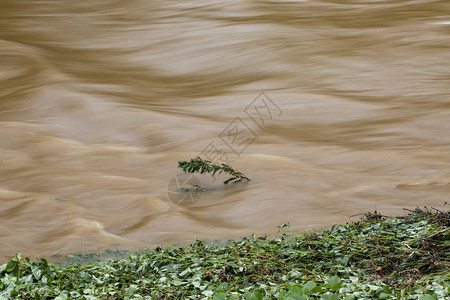 River在佛罗伦萨飓风暴雨后图片