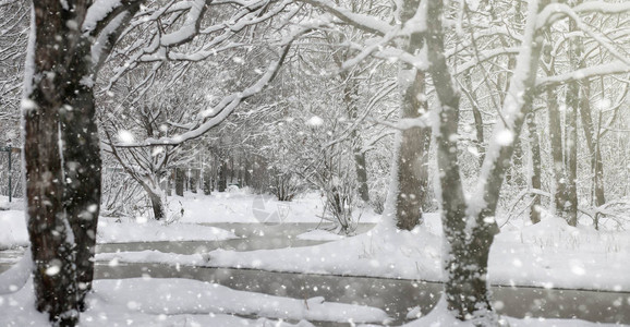 雪下的冬季公园城市公园的暴风雪在积雪覆盖下与全家人一图片