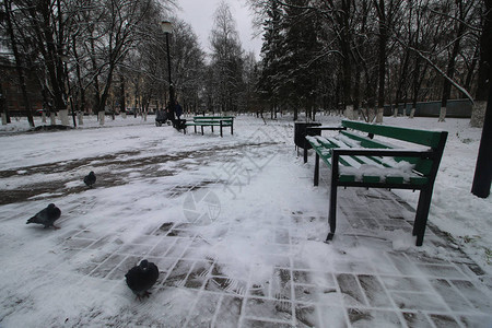 公园里的冬季长椅图片