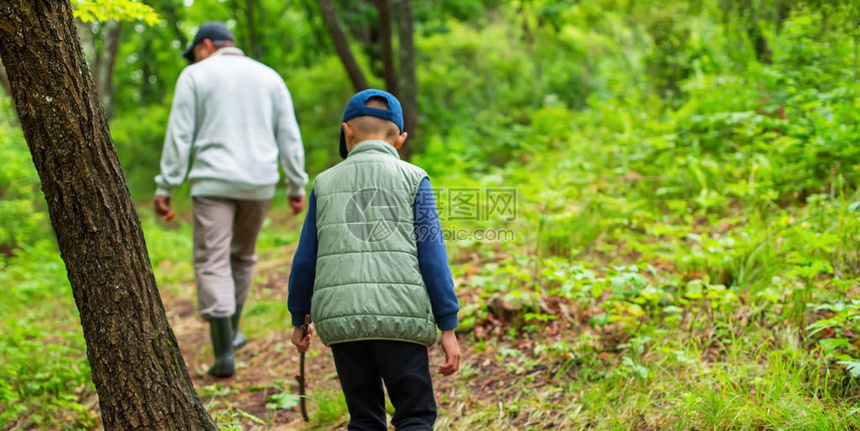 班纳人和一个男孩在森林里收集蘑菇野生物活动图片