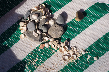 休息者绿白带上的石壳和贝背景图片