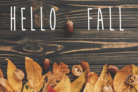 你好秋天文本HelloAutumn标志在色彩鲜艳的秋叶上图片