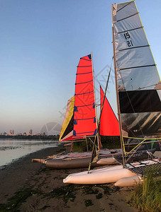 夏日早晨在河上夏日背景自然风格的帆船上图片