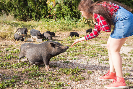 快乐的年轻女士玩耍与小野猪图片