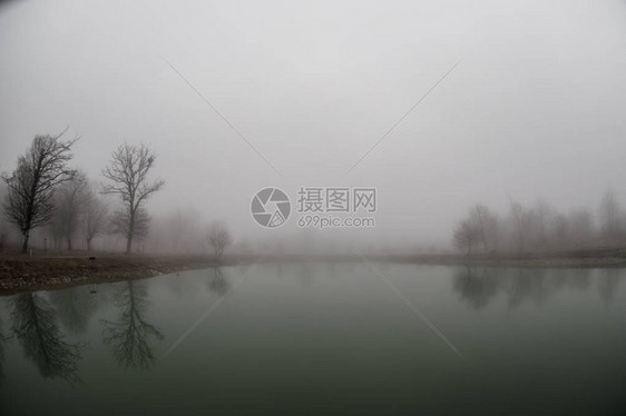 森林湖或美丽的森林湖中充满浓雾的风景图片