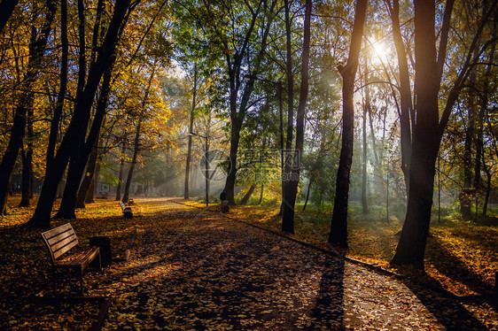 城市公园的秋天赫梅利尼茨基市图片