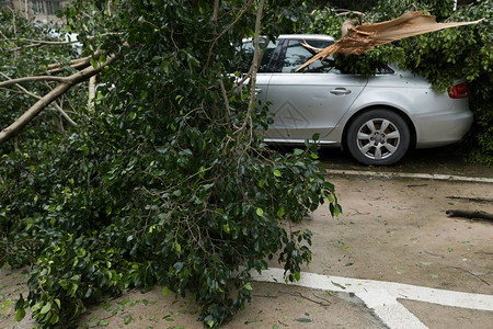 在超级台风曼喀普Mangkhut背景图片